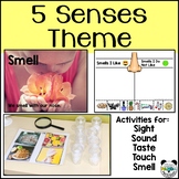 5 Senses Preschool Activities