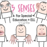5 Senses Printables for Special Education | ESL