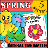5 Senses SPRING Match & Sort Interactive Science Anatomy B