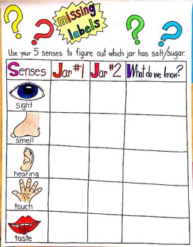 Preview of 5 Senses Salt or Sugar Anchor Chart FREEBIE