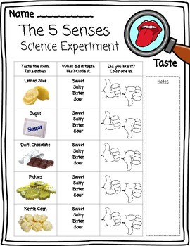 5 senses science experiments