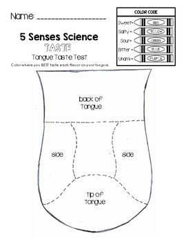 5 Senses Science - Tongue Taste Test II Worksheet