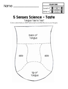 5 Senses Science - Tongue Taste Test Worksheet