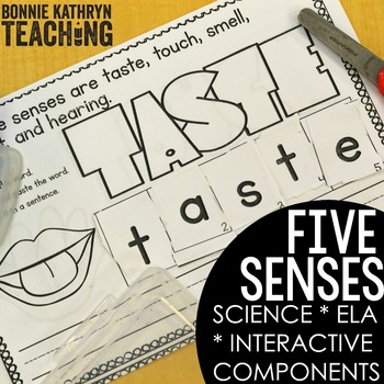 5 Senses Science Unit by Bonnie Kathryn Teaching | TpT
