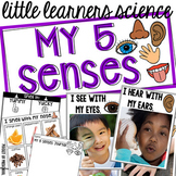 5 Senses - Science for Little Learners (preschool, pre-k, 