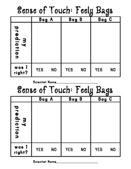 Preview of 5 Senses Sense of Touch Bags