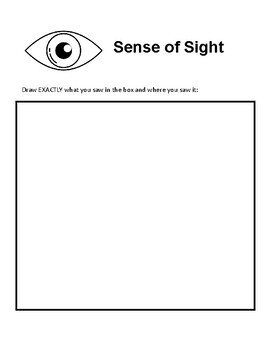 the five senses sight