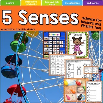 Preview of 5 Senses, Sight, Touch, Hear, Smell, Taste Activities, Back to School