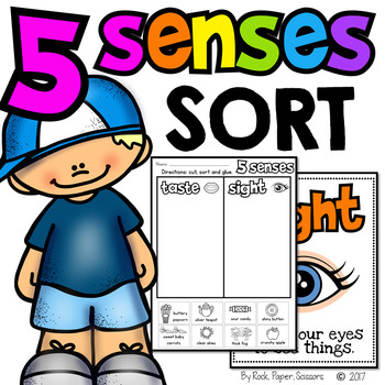 Preview of 5 Senses Sort