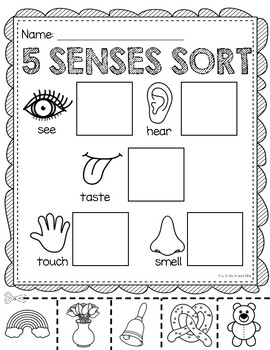 5 Senses Sort - Cut & Paste by Ms Mal's Munchkins | TPT