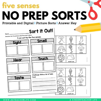 Preview of 5 Senses Sort  Digital Version Included