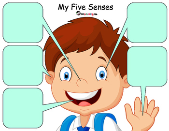 Preview of 5 Senses Sorting Activity