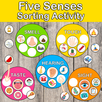 5 Senses Sorting Activity | Five Senses | Centers | My body | About Me