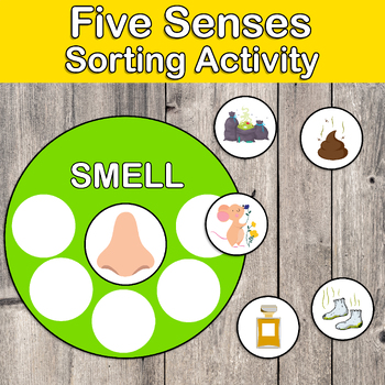 5 Senses Activities - Active Littles