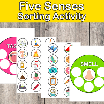 5 Senses Sorting Activity, Five Senses, Centers, My body