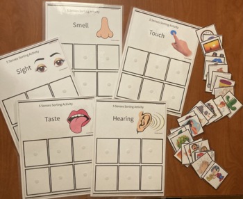 5 Senses Sorting Activity PreK Kindergarten Science by LearningBug