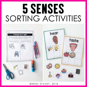 Preview of 5 Senses Sorts