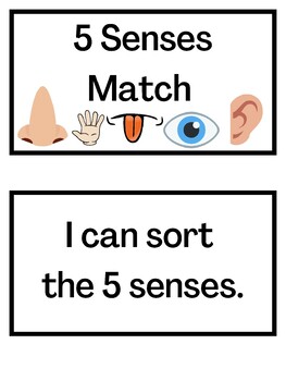 Preview of 5 Senses - Task Box Sort