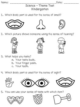 Preview of 5 Senses Assessment