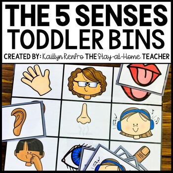 Preview of 5 Senses Sensory Bin | Homeschool Toddler Preschool Fine Motor Skills Activities