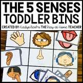 5 Senses Sensory Bin | Homeschool Toddler Preschool Fine M