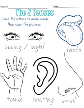 5 Senses Tracing and Coloring Worksheet (Grades K-1) by Connor Gilligan