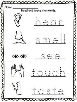 5 Senses Vocabulary Sheets by Techie Trish | Teachers Pay Teachers
