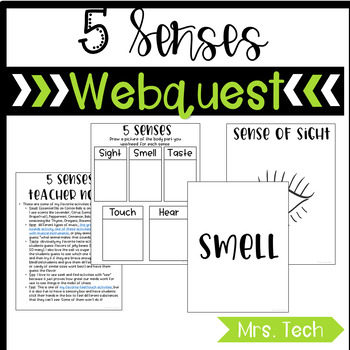 Preview of 5 Senses Webquest