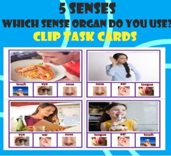 Preview of 5 Senses - Which sense organ do you use?- Clip Task cards with real images.
