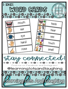 5 senses word cards by learning lots and laughing tpt