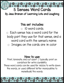 5 Senses Word Cards! by Learning Lots and Laughing | TpT