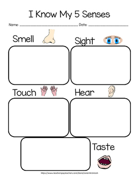 Preview of 5 Senses Worksheet