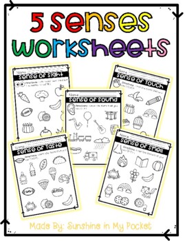 Preview of 5 Senses Worksheets