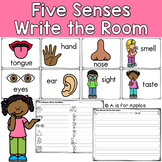 5 Senses Write the Room