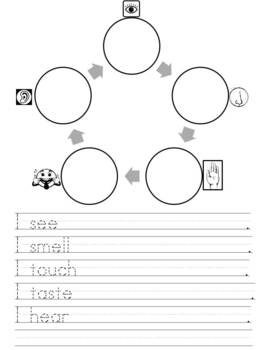 Preview of 5 Senses graphic organizer for writing