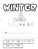 5 Senses in Winter