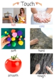 5 Senses with Examples (real pictures)