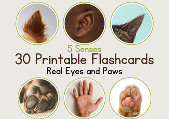 Preview of 5 Senses with Real Eyes and Paws! Fun Round Flashcards for Kids