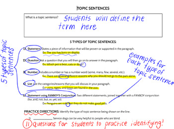 Preview of 5 Types of Topic Sentences