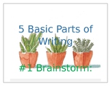 5 basic parts of writing cactus theme