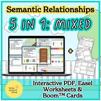 Preview of 5 in 1 Semantic Relationships - Boom Card / Interactive PDF / Worksheets / Easel