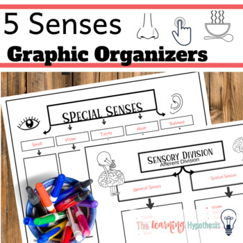 Preview of 5 Senses Graphic Organizers.  Digital & Print.  Distance Learning.