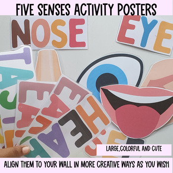 Preview of 5 senses Activity, Preschool Science lesson plans, five senses large posters