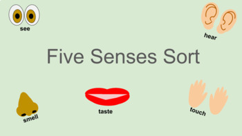 Preview of 5 senses sort