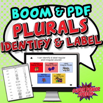 Preview of Plurals - Identify & Label (BOOM & PDF)