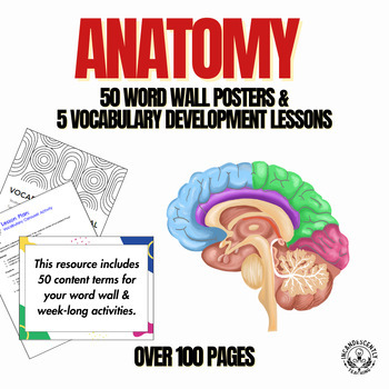 Preview of 50 Anatomy Terms & Meanings for a Word Wall & 5 Vocabulary Building Activities