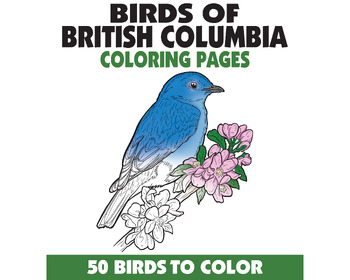 Preview of 50 Birds of British Columbia Canada Coloring Pages, Birdwatching Coloring Pages