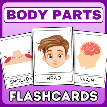 Preview of 50 Human Body Parts and Organs Vocabulary Flashcards - english