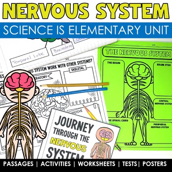 Preview of Nervous System Human Body Systems Project Worksheets Human Body Activities