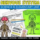 Nervous System Human Body Systems Project Worksheets Human